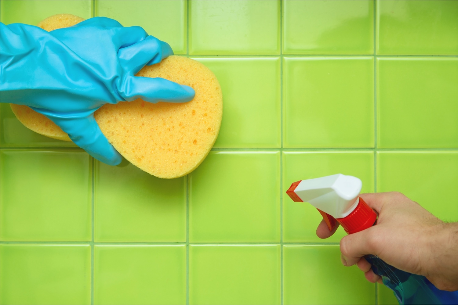 Home Cleaning Myths you want to Know About